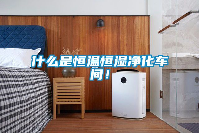什么是恒溫恒濕凈化車間！