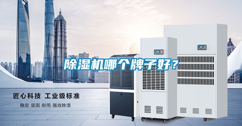 除濕機(jī)哪個(gè)牌子好？