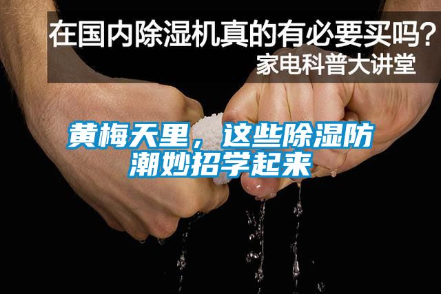 黃梅天里，這些除濕防潮妙招學(xué)起來