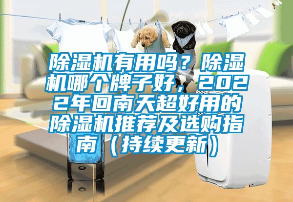 除濕機(jī)有用嗎？除濕機(jī)哪個(gè)牌子好，2022年回南天超好用的除濕機(jī)推薦及選購(gòu)指南（持續(xù)更新）