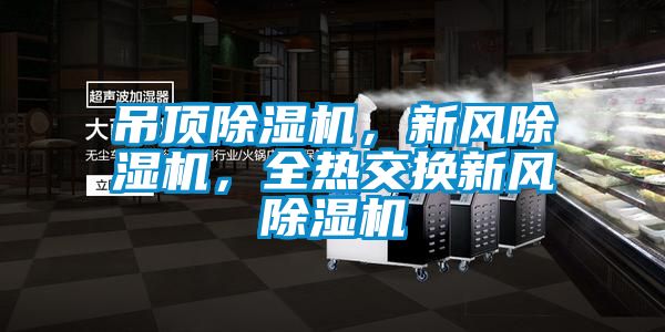 吊頂除濕機(jī)，新風(fēng)除濕機(jī)，全熱交換新風(fēng)除濕機(jī)