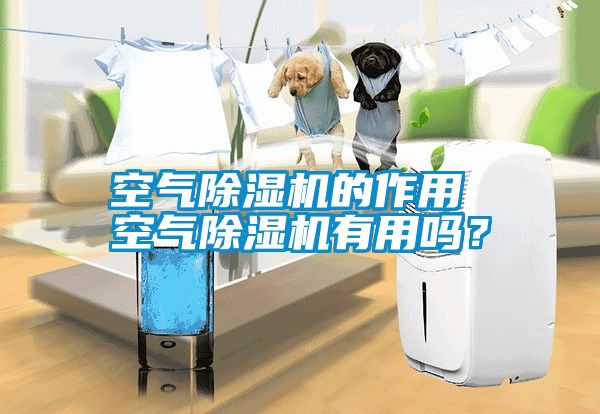 空氣除濕機的作用 空氣除濕機有用嗎？