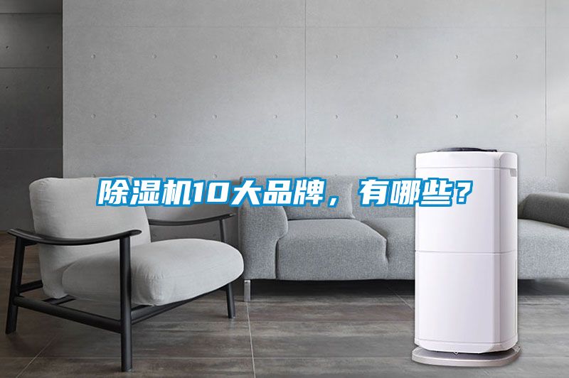 除濕機(jī)10大品牌，有哪些？