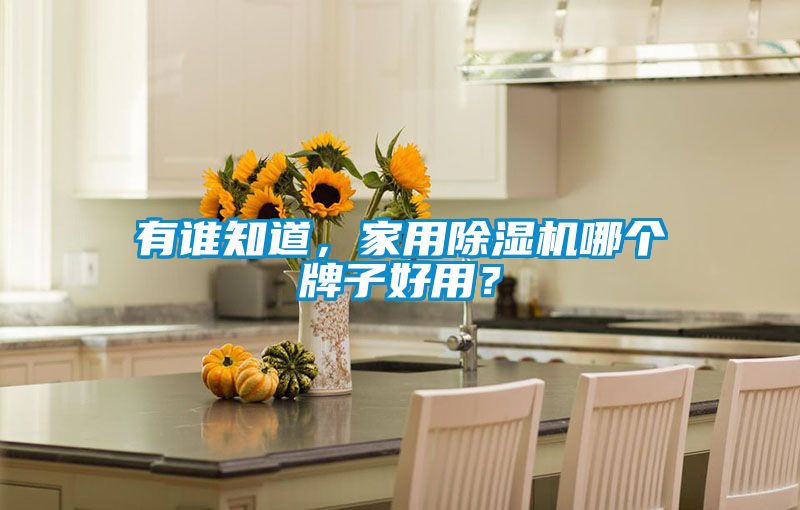 有誰知道，家用除濕機哪個牌子好用？