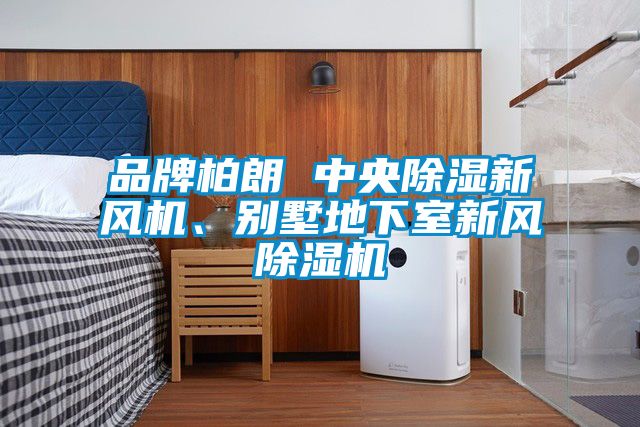 品牌柏朗 中央除濕新風(fēng)機(jī)、別墅地下室新風(fēng)除濕機(jī)