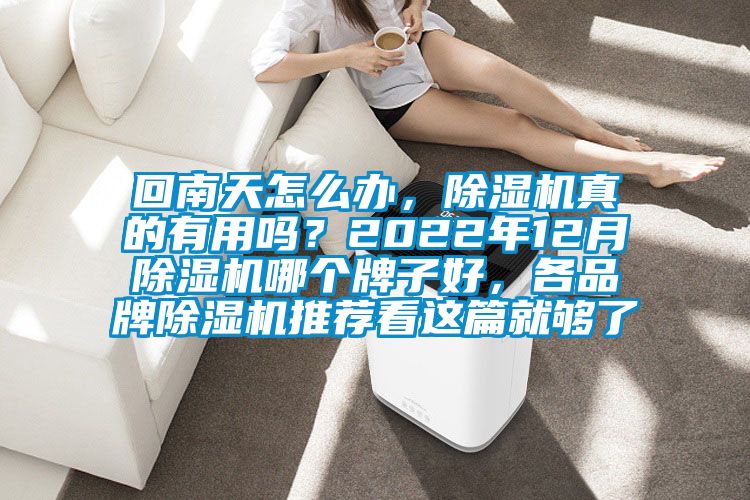 回南天怎么辦，除濕機真的有用嗎？2022年12月除濕機哪個牌子好，各品牌除濕機推薦看這篇就夠了
