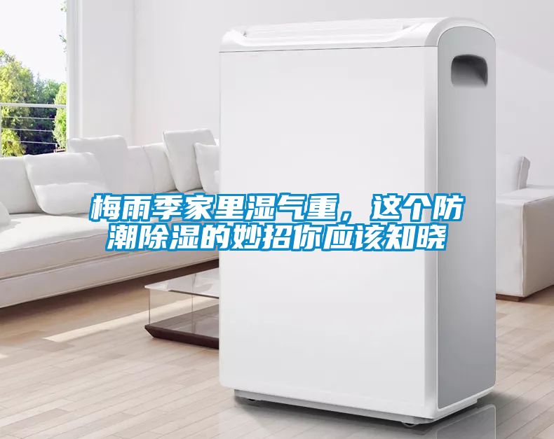 梅雨季家里濕氣重，這個防潮除濕的妙招你應(yīng)該知曉