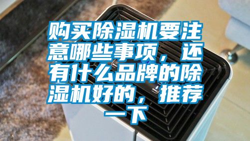 購(gòu)買(mǎi)除濕機(jī)要注意哪些事項(xiàng)，還有什么品牌的除濕機(jī)好的，推薦一下