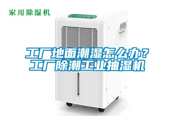 工廠地面潮濕怎么辦？工廠除潮工業(yè)抽濕機(jī)