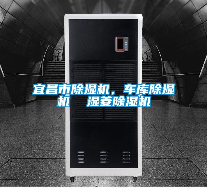 宜昌市除濕機(jī)，車庫(kù)除濕機(jī)  濕菱除濕機(jī)
