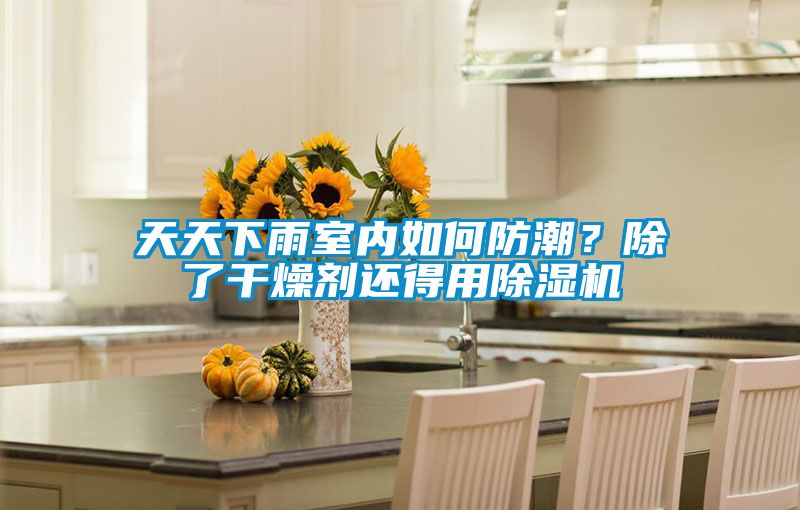 天天下雨室內(nèi)如何防潮？除了干燥劑還得用除濕機(jī)