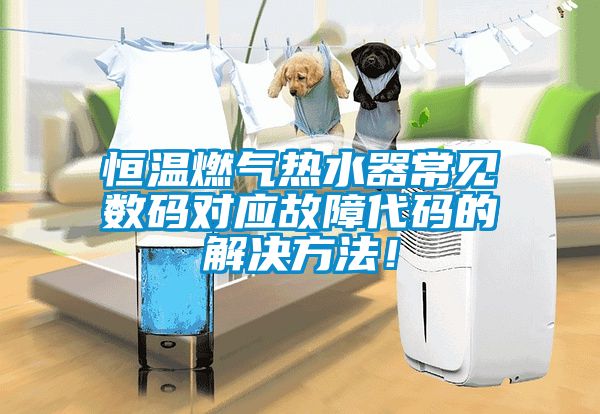 恒溫燃?xì)鉄崴鞒Ｒ姅?shù)碼對應(yīng)故障代碼的解決方法！