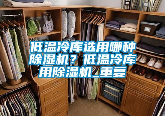 低溫冷庫選用哪種除濕機？低溫冷庫用除濕機_重復