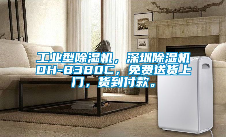 工業(yè)型除濕機，深圳除濕機DH-8380C，免費送貨上門，貨到付款。