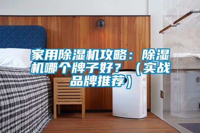 家用除濕機(jī)攻略：除濕機(jī)哪個(gè)牌子好？（實(shí)戰(zhàn)品牌推薦）