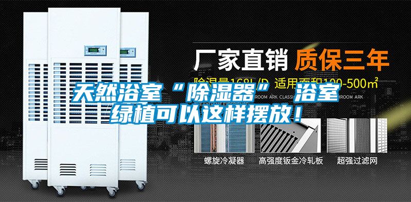 天然浴室“除濕器” 浴室綠植可以這樣擺放！