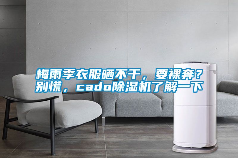 梅雨季衣服曬不干，要裸奔？別慌，cado除濕機(jī)了解一下