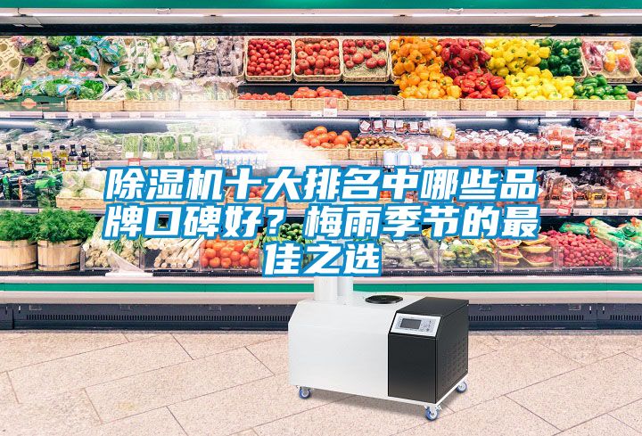 除濕機(jī)十大排名中哪些品牌口碑好？梅雨季節(jié)的最佳之選