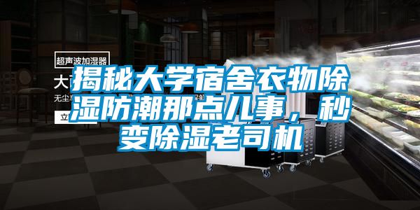 揭秘大學(xué)宿舍衣物除濕防潮那點(diǎn)兒事，秒變除濕老司機(jī)
