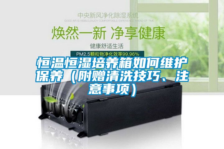 恒溫恒濕培養(yǎng)箱如何維護(hù)保養(yǎng)（附贈清洗技巧、注意事項）