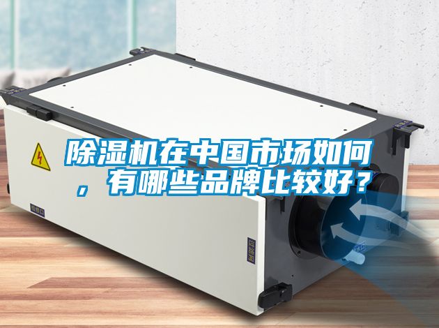 除濕機(jī)在中國市場(chǎng)如何，有哪些品牌比較好？