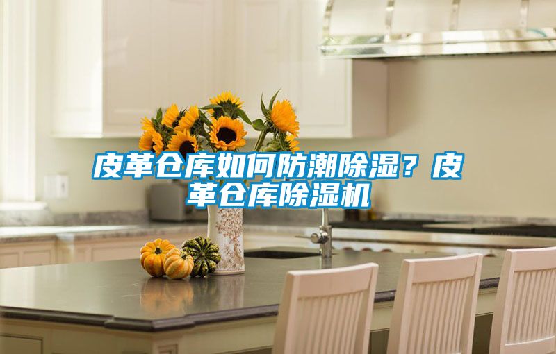 皮革倉(cāng)庫(kù)如何防潮除濕？皮革倉(cāng)庫(kù)除濕機(jī)