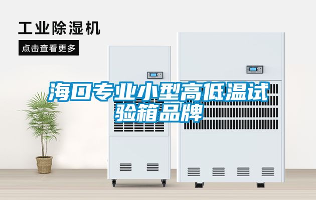 ?？趯I(yè)小型高低溫試驗(yàn)箱品牌