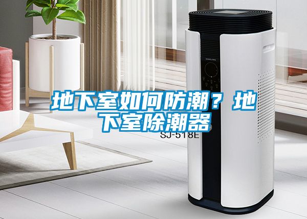 地下室如何防潮？地下室除潮器