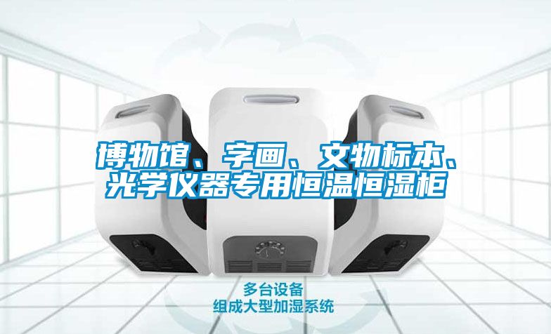博物館、字畫、文物標(biāo)本、光學(xué)儀器專用恒溫恒濕柜