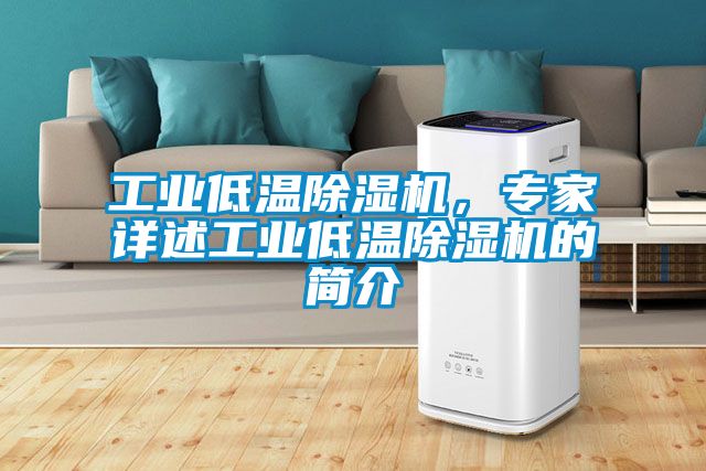 工業(yè)低溫除濕機(jī)，專家詳述工業(yè)低溫除濕機(jī)的簡介
