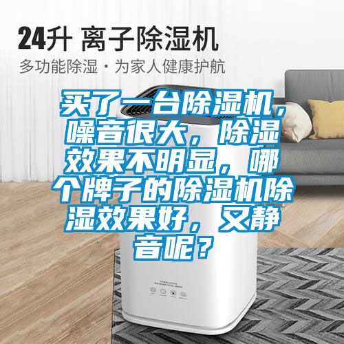 買了一臺除濕機，噪音很大，除濕效果不明顯，哪個牌子的除濕機除濕效果好，又靜音呢？