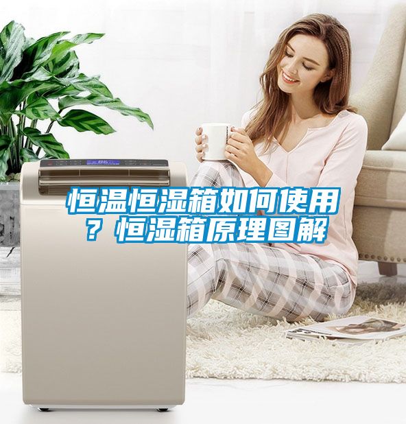 恒溫恒濕箱如何使用？恒濕箱原理圖解