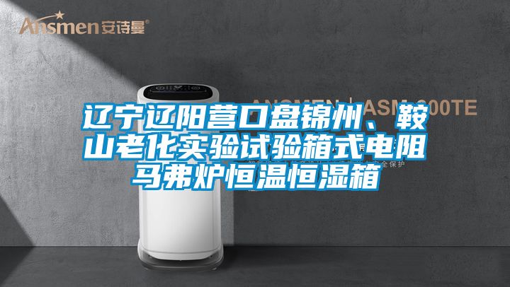 遼寧遼陽(yáng)營(yíng)口盤(pán)錦州、鞍山老化實(shí)驗(yàn)試驗(yàn)箱式電阻馬弗爐恒溫恒濕箱
