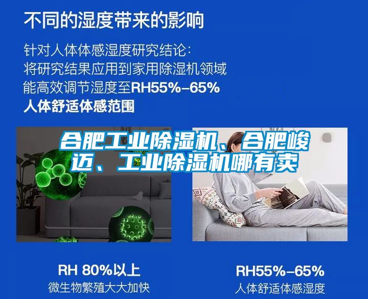 合肥工業(yè)除濕機、合肥峻邁、工業(yè)除濕機哪有賣