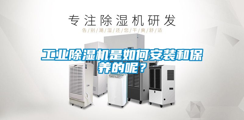 工業(yè)除濕機(jī)是如何安裝和保養(yǎng)的呢？