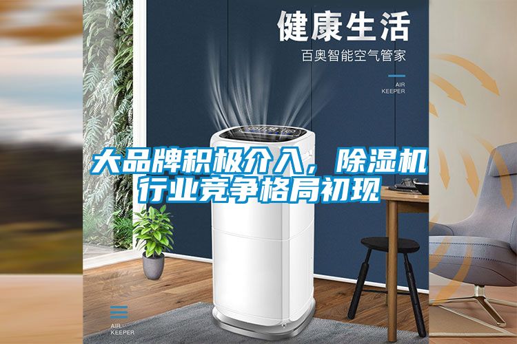 大品牌積極介入，除濕機(jī)行業(yè)競(jìng)爭(zhēng)格局初現(xiàn)