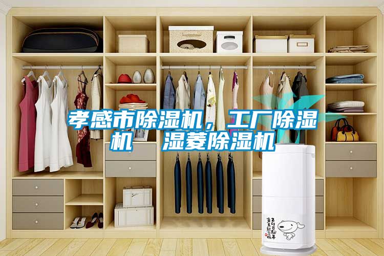 孝感市除濕機(jī)，工廠除濕機(jī)  濕菱除濕機(jī)