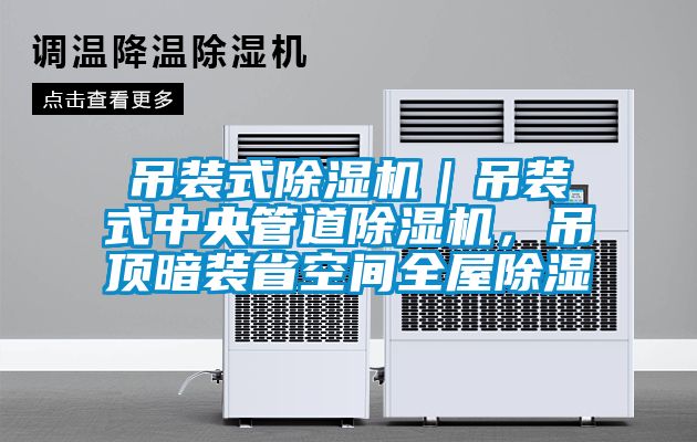 吊裝式除濕機｜吊裝式中央管道除濕機，吊頂暗裝省空間全屋除濕