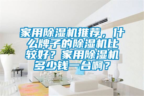 家用除濕機推薦，什么牌子的除濕機比較好？家用除濕機多少錢一臺??？