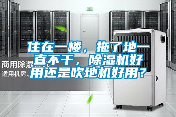 住在一樓，拖了地一直不干，除濕機(jī)好用還是吹地機(jī)好用？