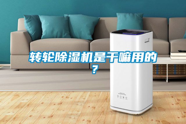 轉(zhuǎn)輪除濕機(jī)是干嘛用的？