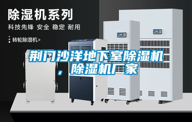 荊門(mén)沙洋地下室除濕機(jī)，除濕機(jī)廠家