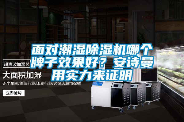 面對(duì)潮濕除濕機(jī)哪個(gè)牌子效果好？安詩(shī)曼用實(shí)力來(lái)證明