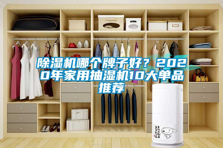 除濕機哪個牌子好？2020年家用抽濕機10大單品推薦