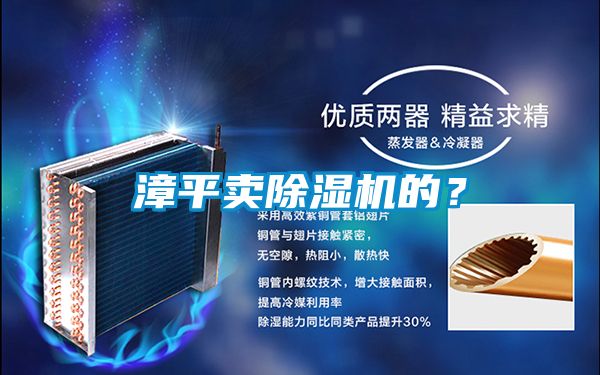 漳平賣除濕機的？