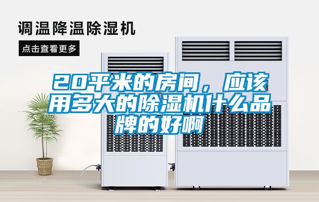 20平米的房間，應(yīng)該用多大的除濕機(jī)什么品牌的好啊