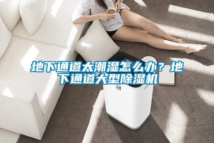 地下通道太潮濕怎么辦？地下通道大型除濕機