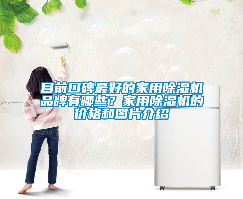 目前口碑最好的家用除濕機(jī)品牌有哪些？家用除濕機(jī)的價(jià)格和圖片介紹