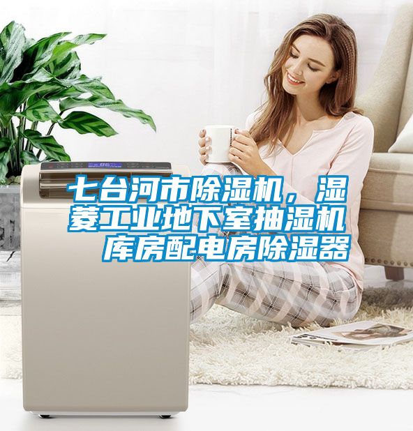 七臺河市除濕機，濕菱工業(yè)地下室抽濕機  庫房配電房除濕器