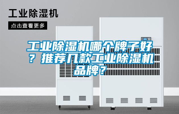 工業(yè)除濕機(jī)哪個牌子好？推薦幾款工業(yè)除濕機(jī)品牌？